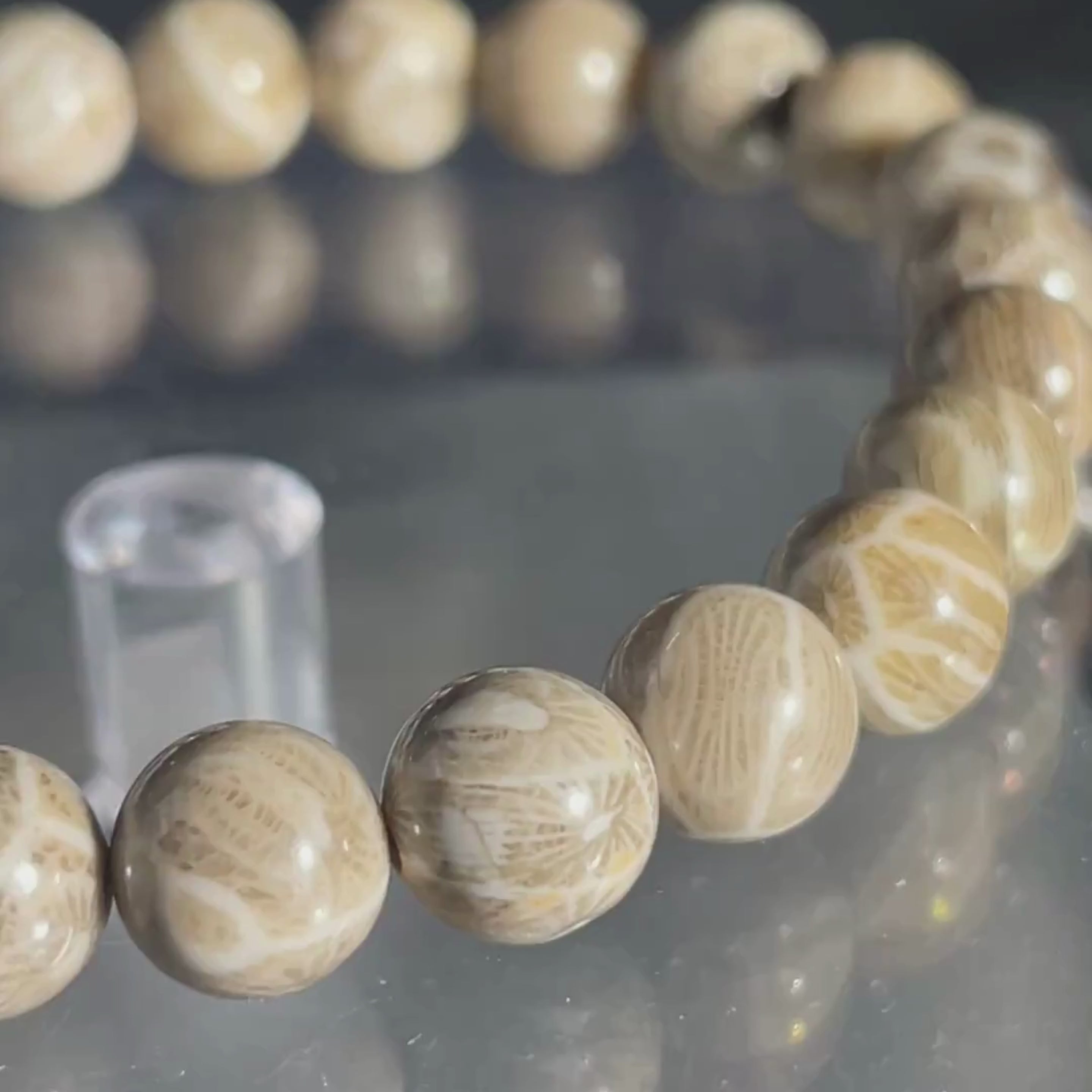 フォッシルコーラル（8mm 16cm）【ラスト1点】【中国産】